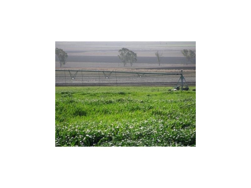 Felton QLD 4358