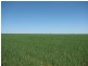 Jandowae QLD 4410