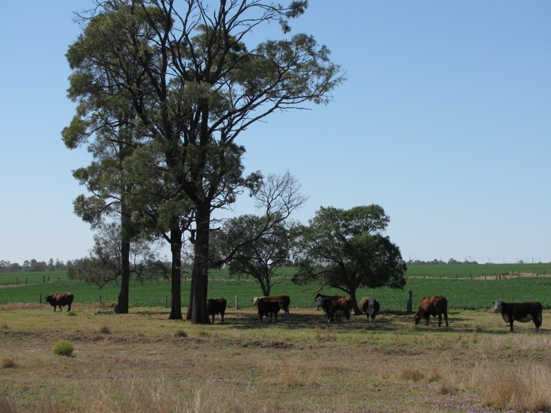 Jandowae QLD 4410
