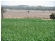 Jandowae QLD 4410