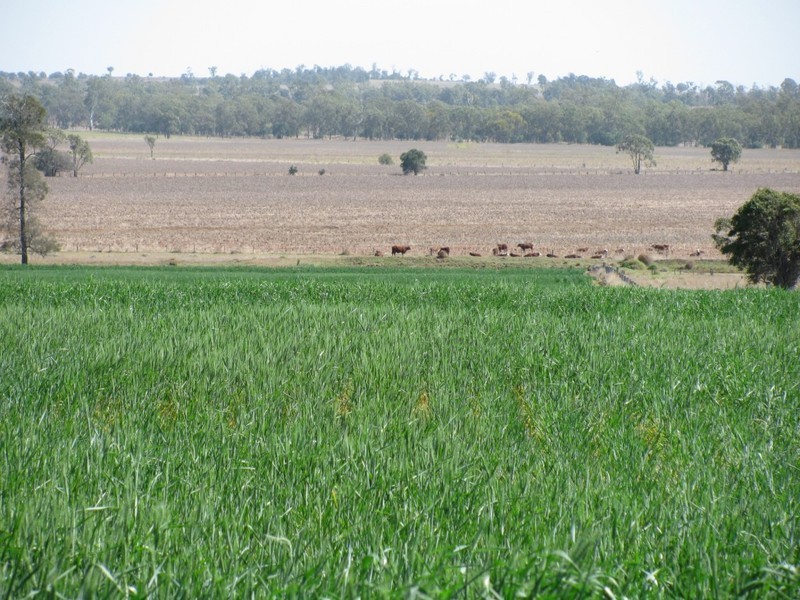 Jandowae QLD 4410