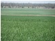 Jandowae QLD 4410