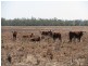Jandowae QLD 4410