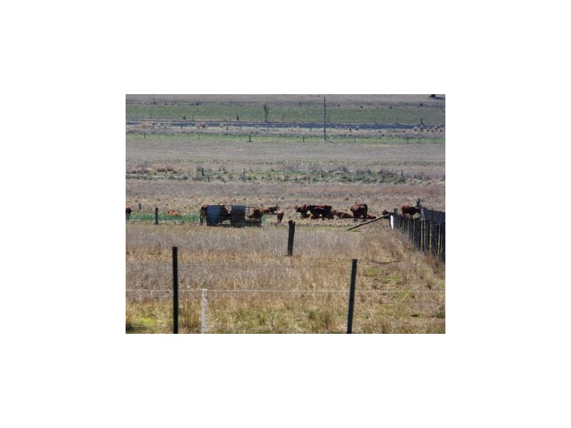 ” Oakmore Park”, Toowoomba QLD 4350