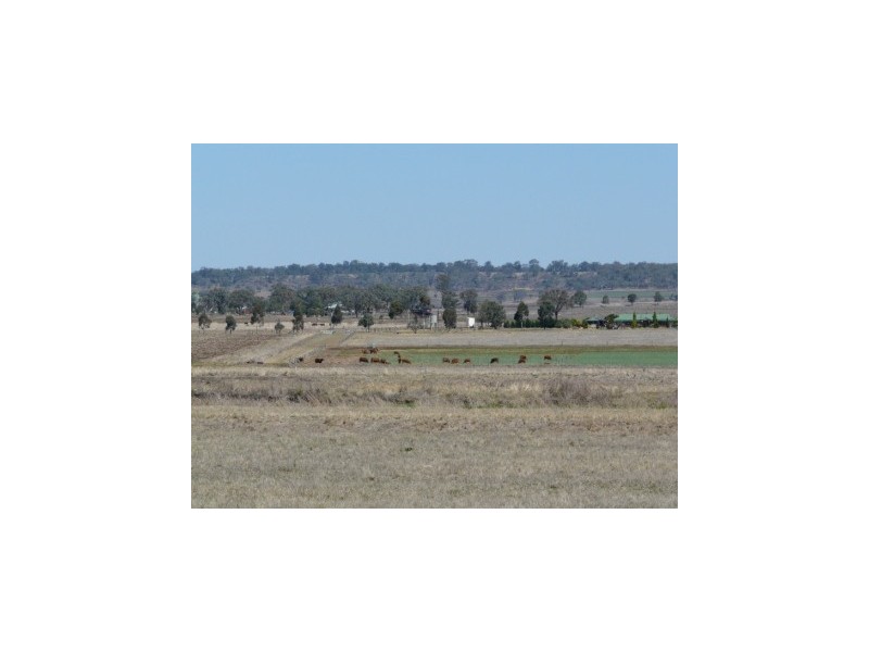 ” Oakmore Park”, Toowoomba QLD 4350