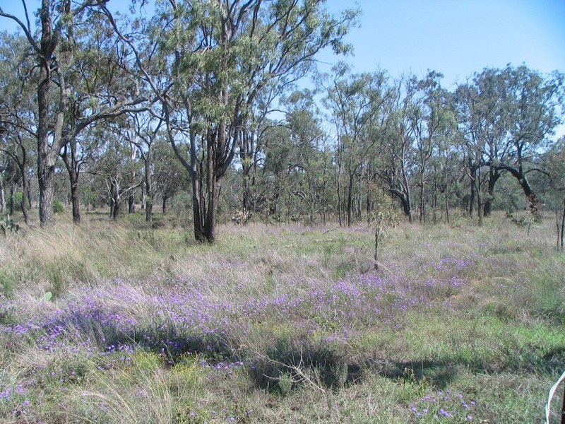 LOT 87 DREWS ROAD, Toowoomba QLD 4350