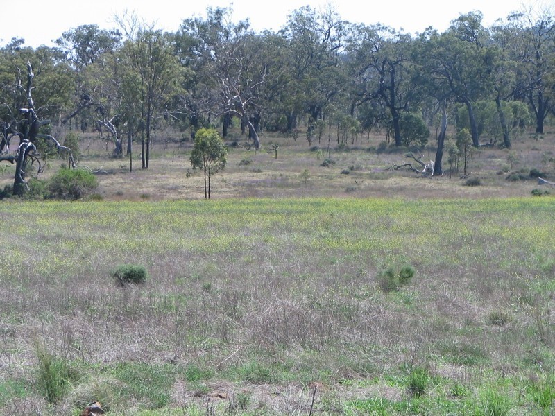 LOT 87 DREWS ROAD, Toowoomba QLD 4350