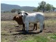 “LISGARD” Pilton Valley Road, Upper Pilton QLD 4361