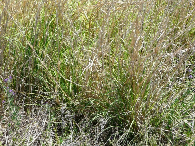 “SUGARLOAF” Pilton Valley Road, Upper Pilton QLD 4361