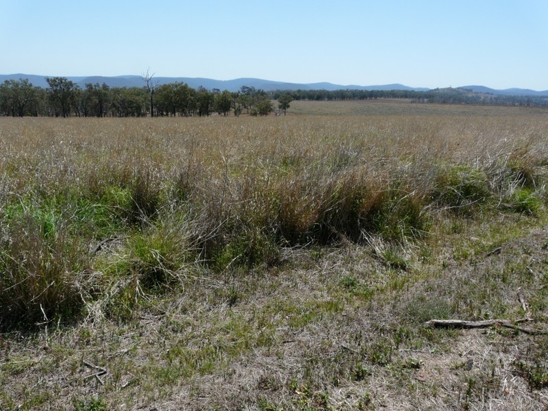 “SUGARLOAF” Pilton Valley Road, Upper Pilton QLD 4361