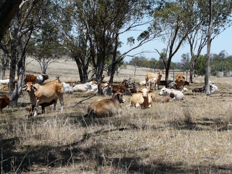 “SUGARLOAF” Pilton Valley Road, Upper Pilton QLD 4361