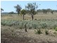 “The Glen”  988 Pilton Valley Road, Upper Pilton QLD 4361