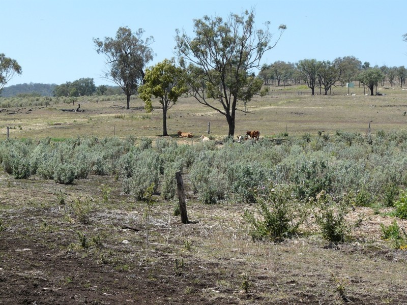 “The Glen”  988 Pilton Valley Road, Upper Pilton QLD 4361