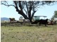 “The Glen”  988 Pilton Valley Road, Upper Pilton QLD 4361