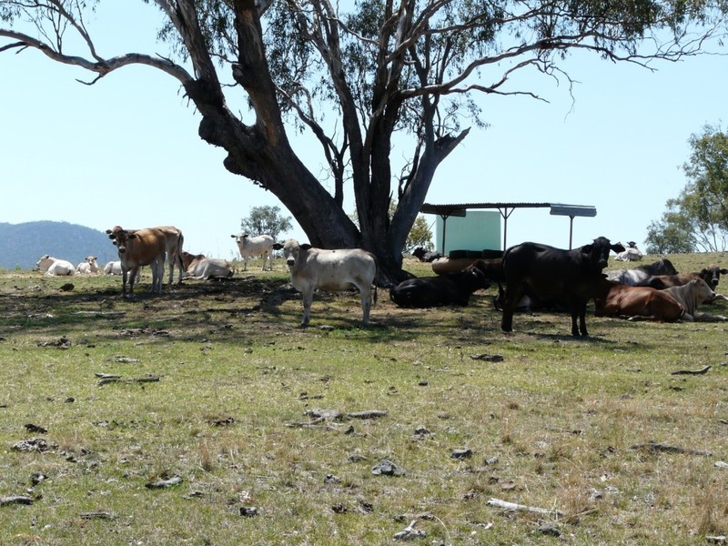 “The Glen”  988 Pilton Valley Road, Upper Pilton QLD 4361