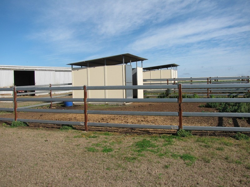 Wyreema QLD 4352