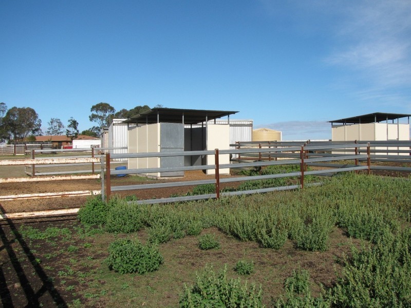 Wyreema QLD 4352