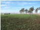 Wyreema QLD 4352