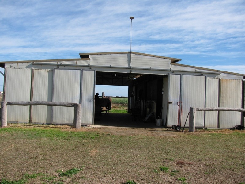 Wyreema QLD 4352