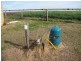 Wyreema QLD 4352
