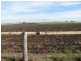 Wyreema QLD 4352