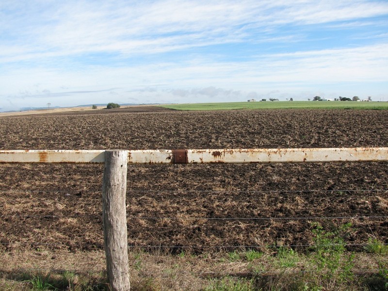 Wyreema QLD 4352