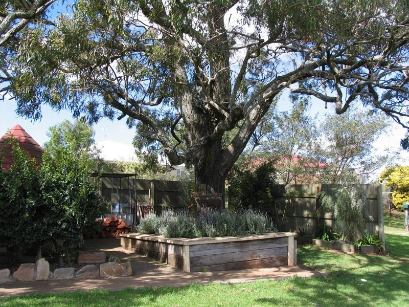 164 Glenvale Rd, Glenvale QLD 4350