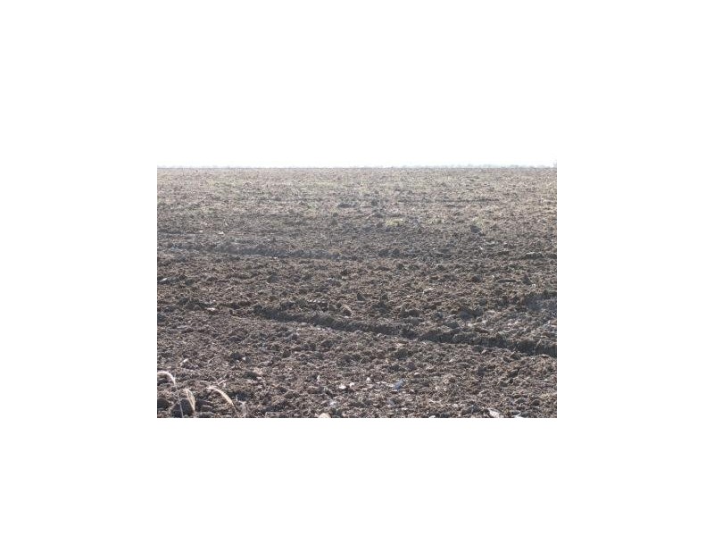 264 Arratta Rd, Bowen QLD 4805