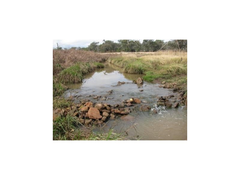 164 E Drews Rd, Westbrook QLD 4350