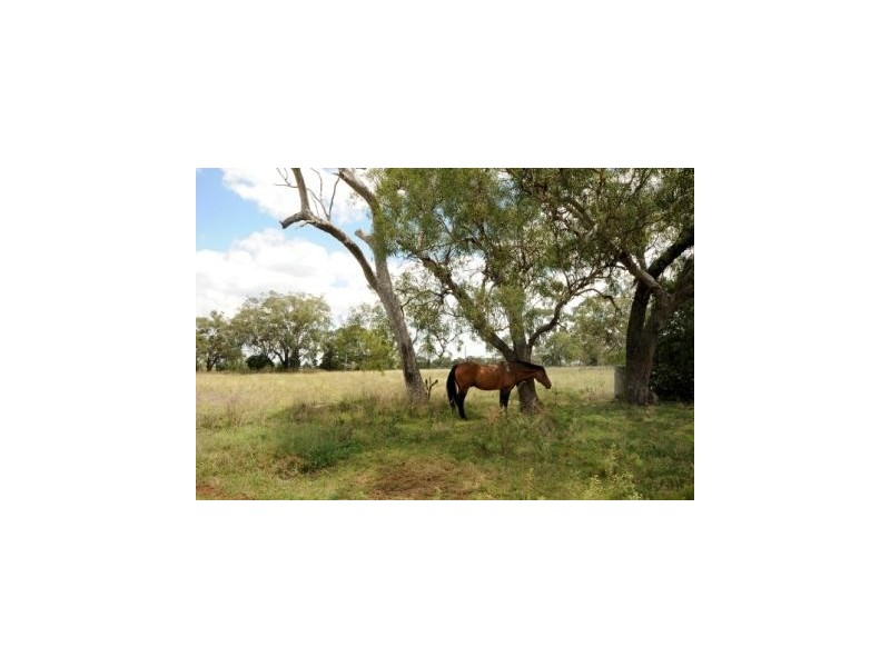 164 E Drews Rd, Westbrook QLD 4350