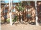 88/27 Coxen Street, Hughes ACT 2605