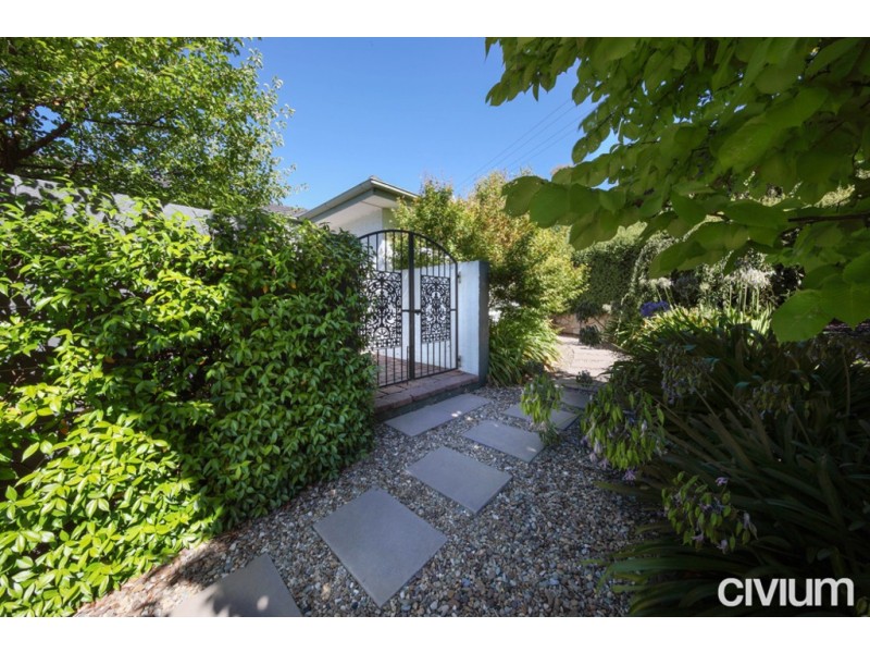 16 Musgrove Street, Chapman ACT 2611