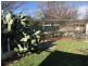 31 Prichard Circuit, Richardson ACT 2905