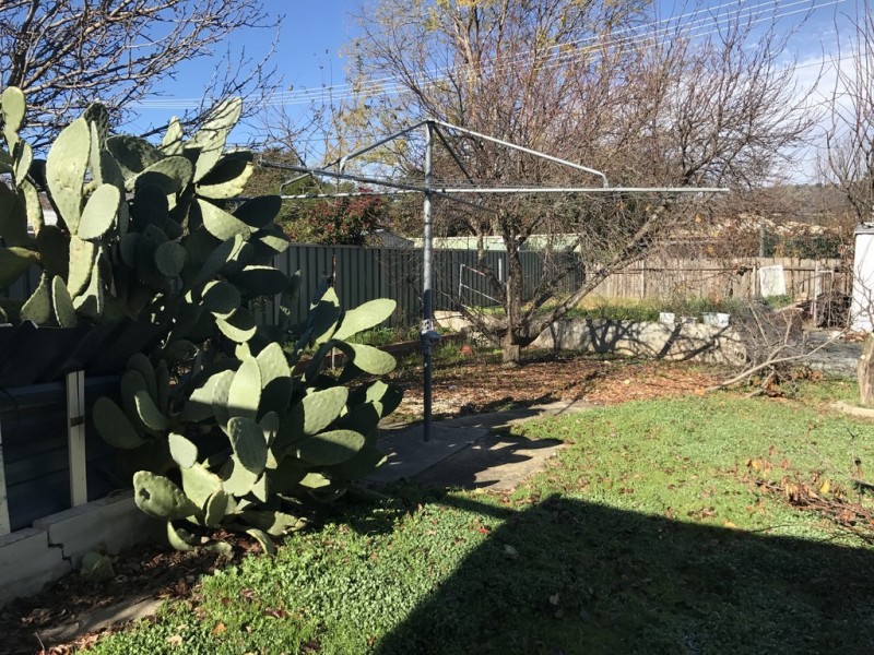 31 Prichard Circuit, Richardson ACT 2905