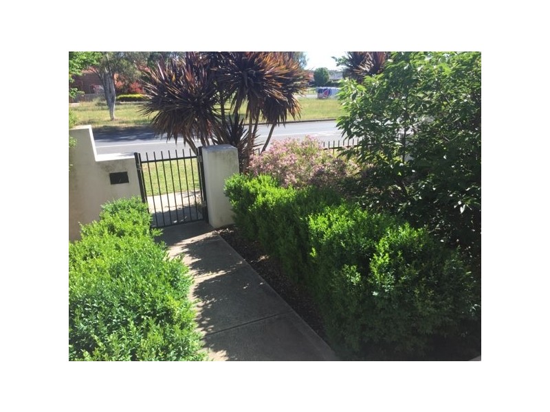 238 Anthony Rolfe Avenue, Gungahlin ACT 2912