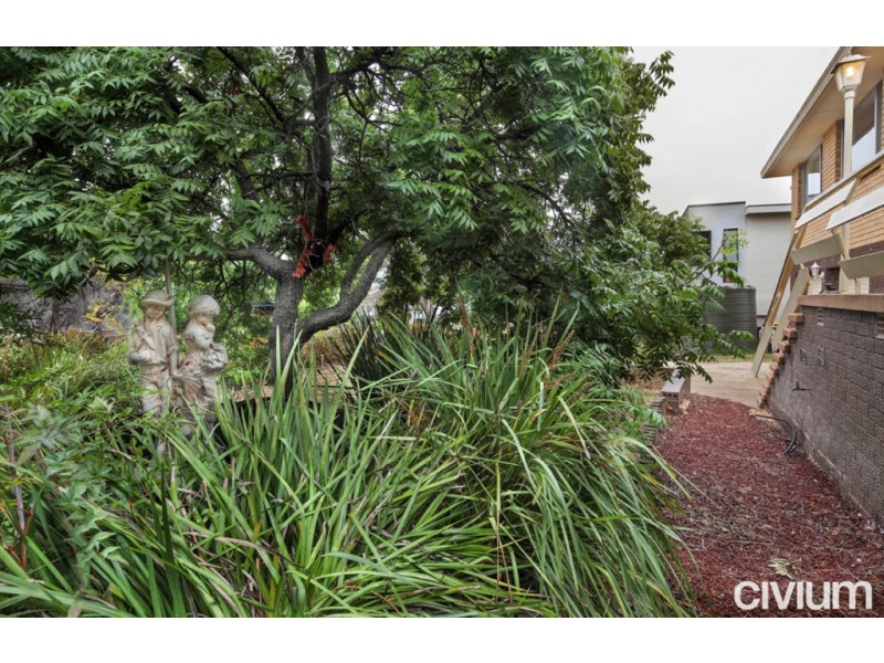 120 Beasley Street, Torrens ACT 2607