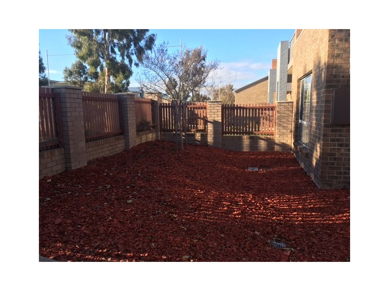 92 Oodgeroo Avenue, Franklin ACT 2913