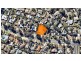 127 Darwinia Terrace, Rivett ACT 2611