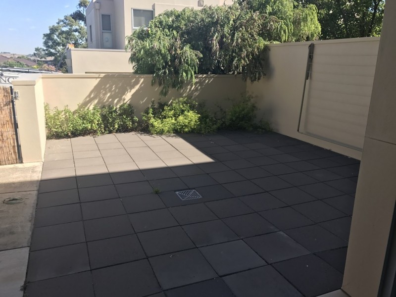 2/51 Blackwood Terrace, Holder ACT 2611