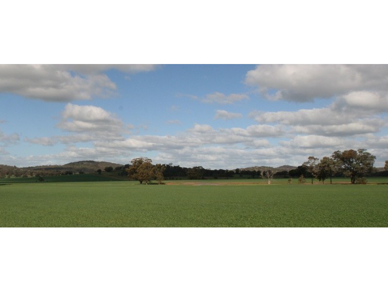 Stockinbingal NSW 2725