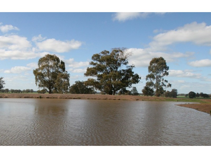 Stockinbingal NSW 2725