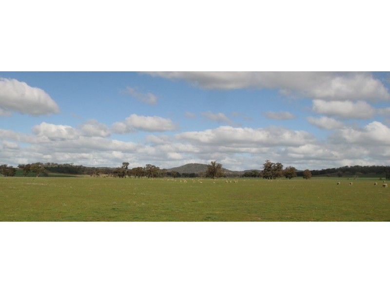 Stockinbingal NSW 2725