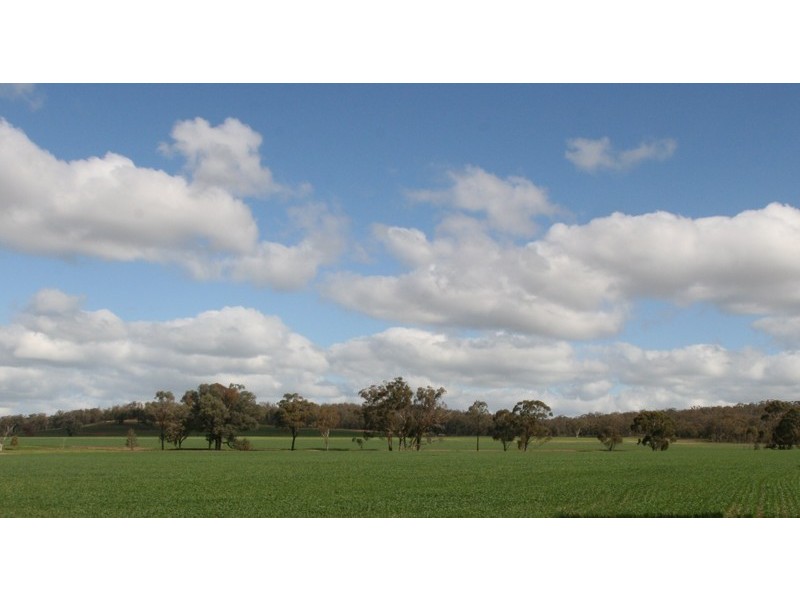 Stockinbingal NSW 2725