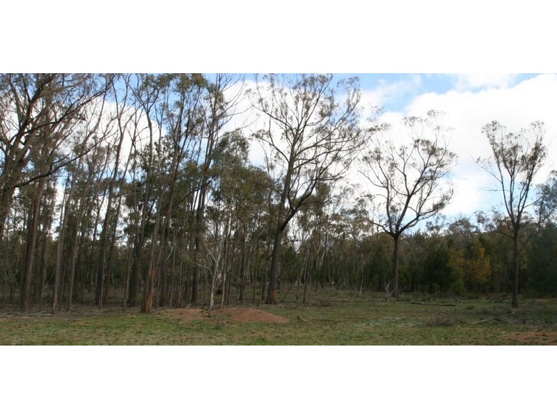 Stockinbingal NSW 2725