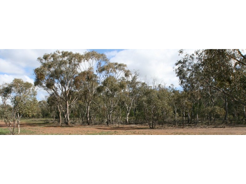 Stockinbingal NSW 2725