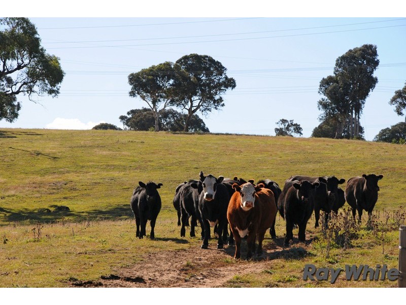 “Lou Mara” Oaks Estate Road, Majura ACT 2609
