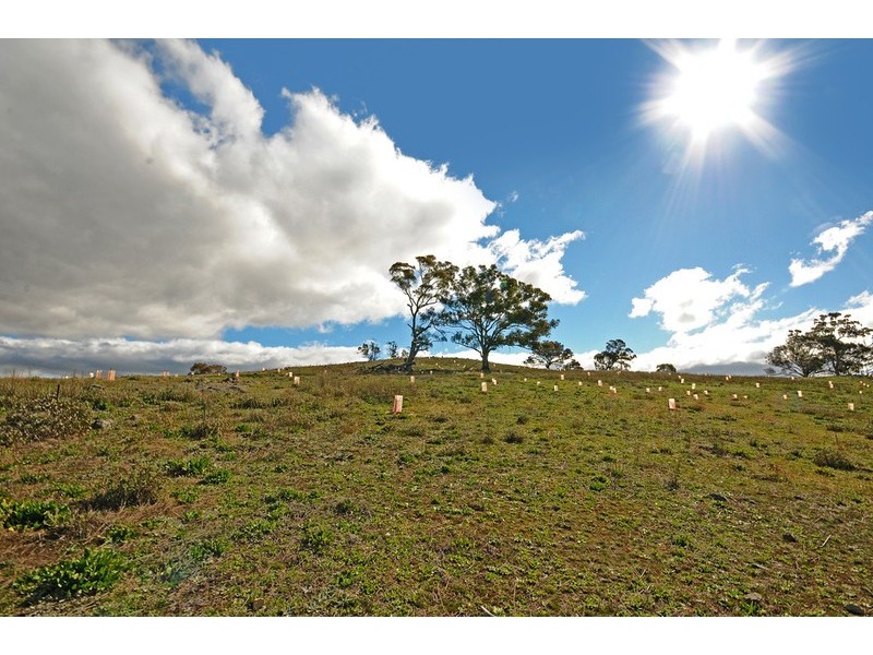 44 Akame Circuit, O’malley ACT 2606