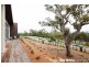 14 Wallangara Street, O’malley ACT 2606