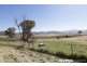 4851 Monaro Highway, Colinton NSW 2626
