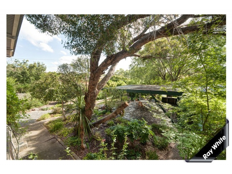 24 Badimara Street, Waramanga ACT 2611